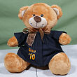 Personalized Graduation Gown Teddy Bear 8917033